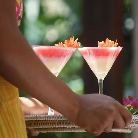 Boutique Hotel Gavea Tropical-3