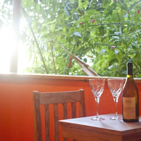 Boutique Hotel Gavea Tropical-2